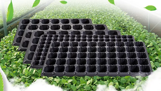 Ano ang mga makina ng paggawa para sa mga tray ng punla?